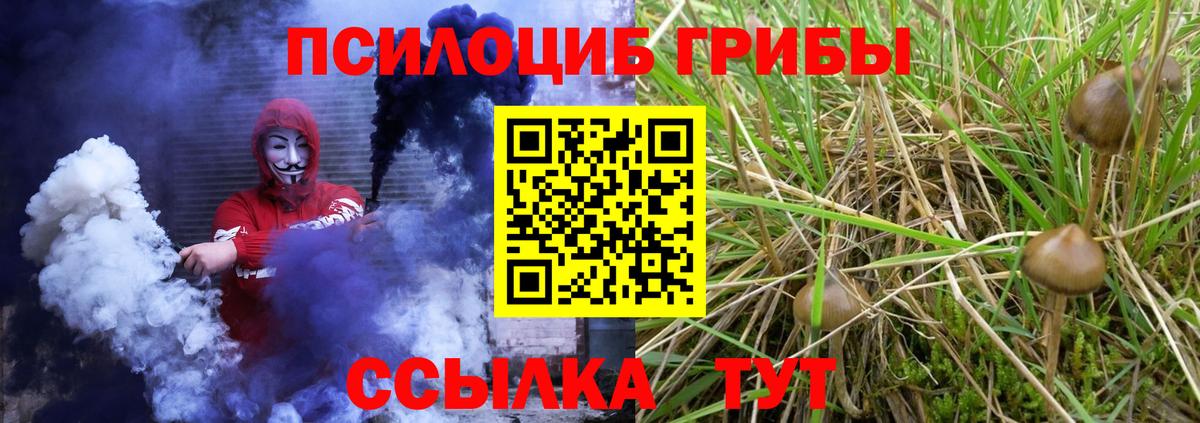 Галлюциногенные грибы GOLDEN TEACHER Тобольск