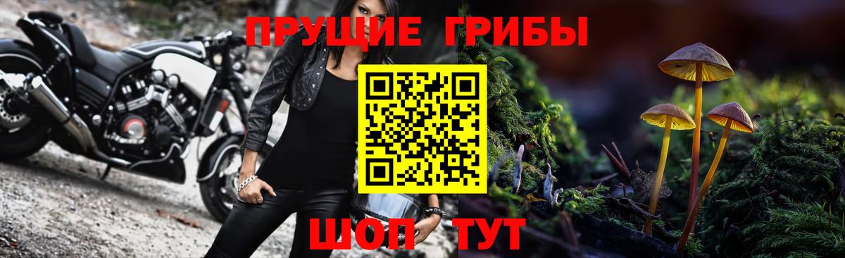 Тобольск  Псилоцибиновые грибы MAGIC MUSHROOMS  Вход с VPN 